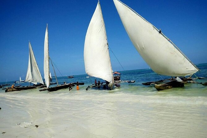 Zanzibar Full Day Mnemba Island, Nungwi and Kendwa Beach Tour - Good To Know