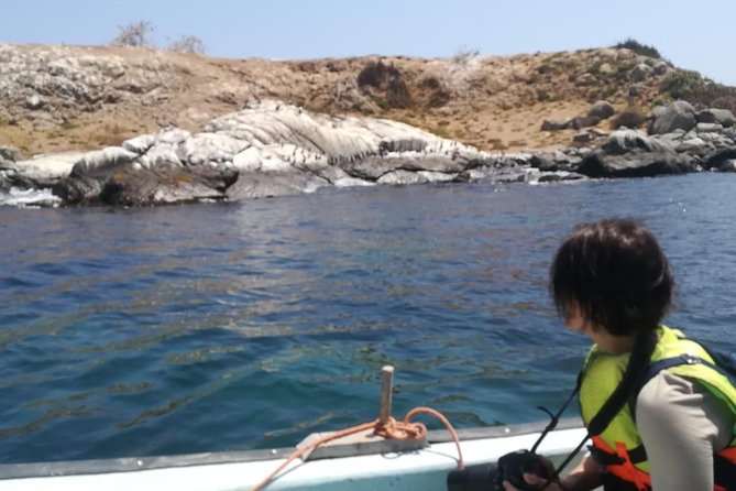 Zapallar and Cachagua Island Experience - Good To Know