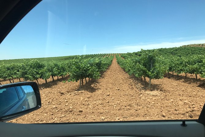 Zaragoza to Cariñena Wineries Full-Day Private Tour - Tour Overview