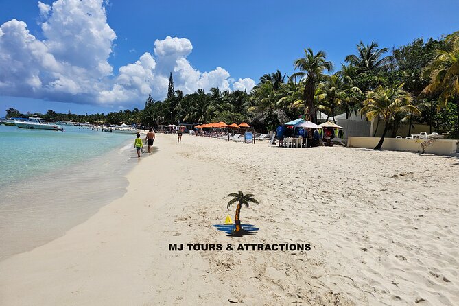 Zip-Line /Monkey and Sloth Sanctuary /West Beach - Meeting Point and Transportation