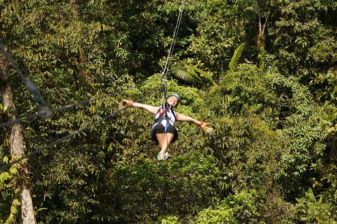 Zipline Tour in Braulio Carrillo National Park From San José - Overview of the Zipline Tour