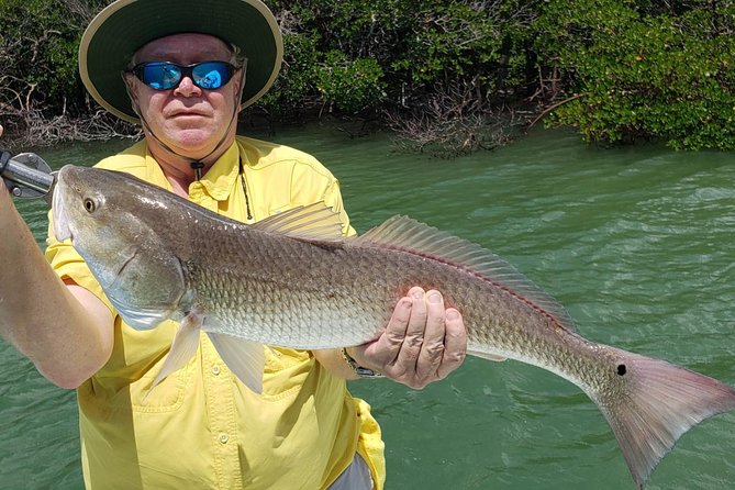 1/2 Day Afternoon Charter Fishing Naples Marco Island Sanibel - Good To Know