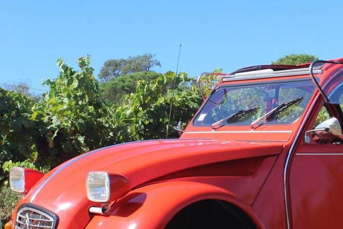 1/2 Day Private Vintage Tour, Vineyards of Saint-Tropez - Good To Know