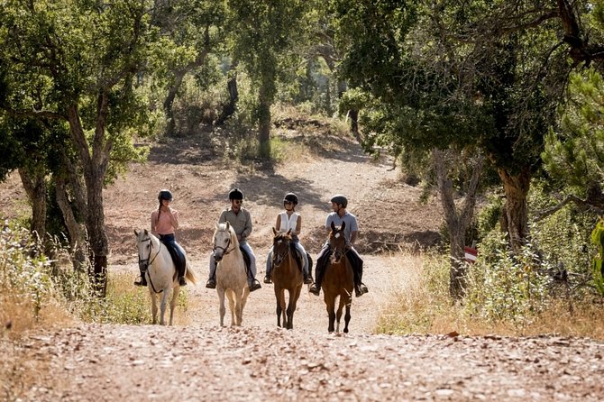 1.5 Hr Horseback Riding Montevideo, Uruguay, With Transportation - About Your Stay