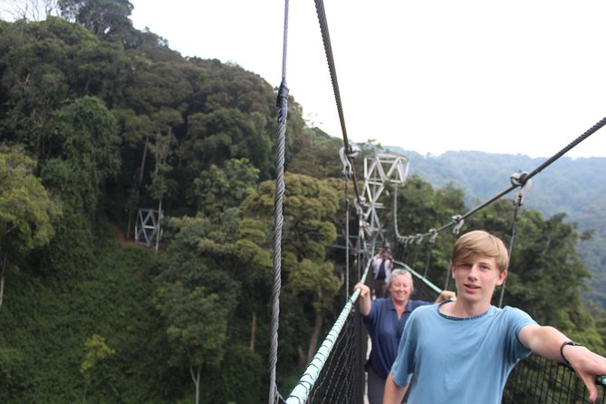 1 Day Canopy Walk Way in Nyungwe Natioinal Park - Good To Know
