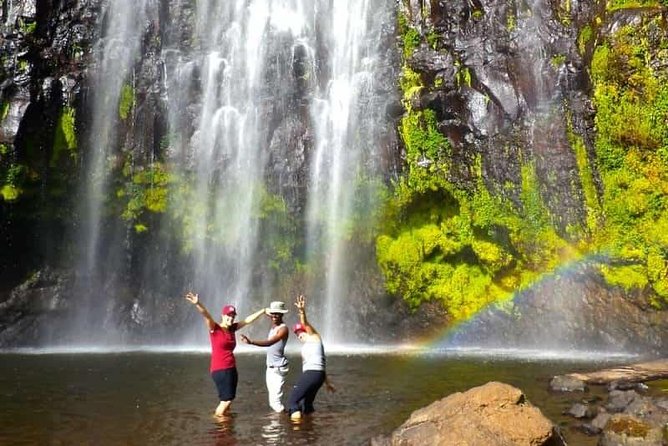 1 Day Tour to Materuni Waterfalls and Coffee Tour - Key Points