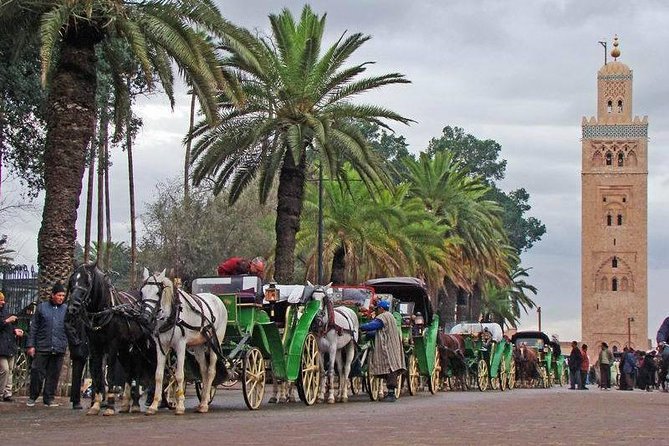 1 Day Trip to Marrakech From Agadir With Group Including Guide - Good To Know