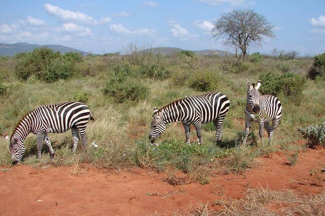 1-Day Tsavo East Safari From Mombasa - Key Points
