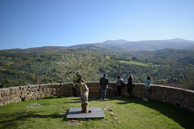 1-Hour Guided Visit to the Olive Tree That Speaks and the Hypogeum Oil Mill - Key Points
