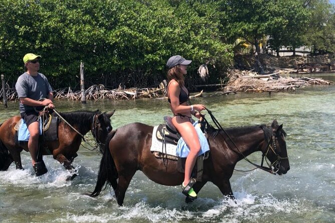 1 HR Horseback Riding + Sloths, Island Tour & Beach Break - Good To Know