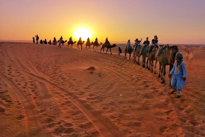 1 Night All Inclusive Camel Ride & Desert Camp - Tour Overview