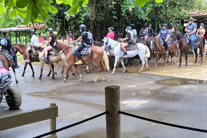 1 or 2 Hour Puerto Rico Horseback Ride Experience! - Good To Know