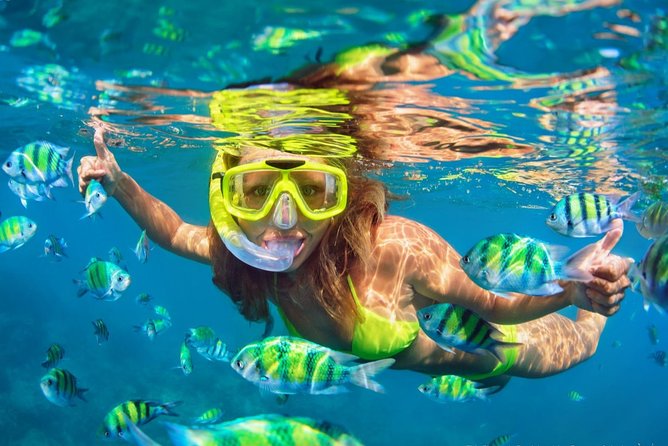 #1 Snorkeling Tour in Catamaran. Open Bar & Snacks Included - Key Points