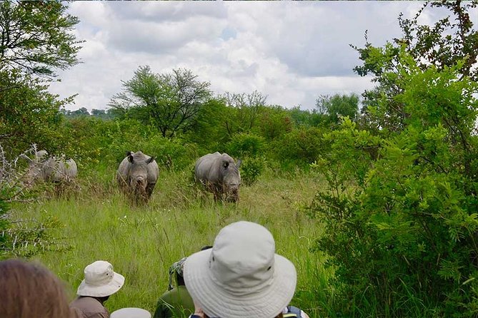 10 Day Zimbabwe and Chobe NP Tour - Key Points