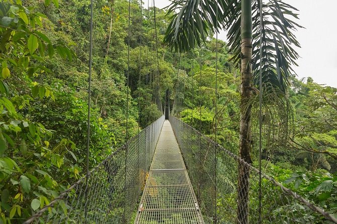 10 Days Essential Costa Rica - Package With Guanacaste From San Jose - About Your Stay