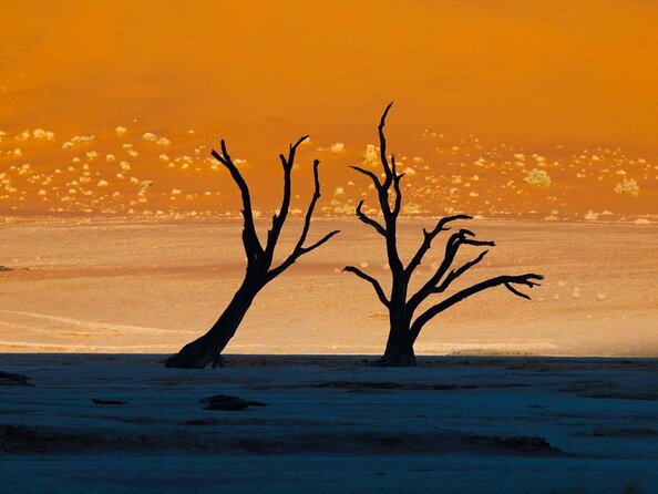 11 Day Namibia Experience Fully Accommodated Tour - Good To Know