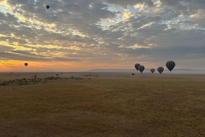 11-Day Wildebeest Migration Serengeti, Mara, Ngorongoro Crater. - Tour Overview and Highlights