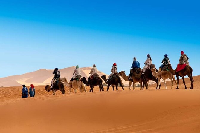 11 Days Morocco Tour From Casablanca Via Historic Cities & Desert - Tour Highlights