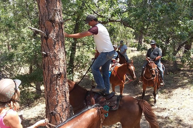 1.5 Hour Horseback Ride - Inclusions and Restrictions