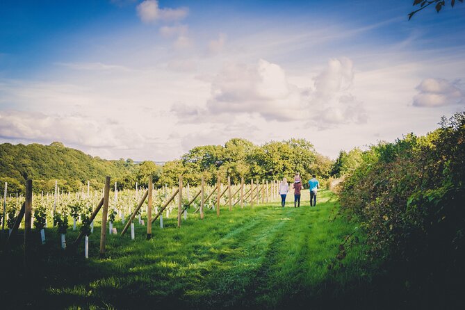 1.5-Hour Swanaford Vineyard Tour And Tasting Experience