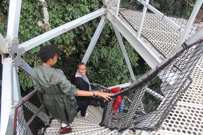 1 Day Canopy Walk Way in Nyungwe Natioinal Park