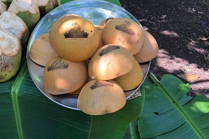 1 Day Cocoa Farm Tour - Overview of the Tour