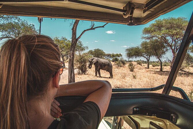 3 Best National Park Tours In Zanzibar