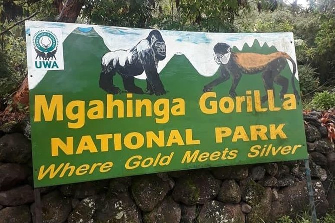 1 Day Gorilla Trekking Uganda