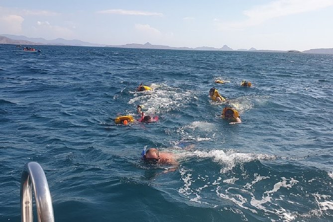 1- Day Komodo Island Hopping Tour by Speed Boat Departure From Labuan Bajo - Itinerary Highlights