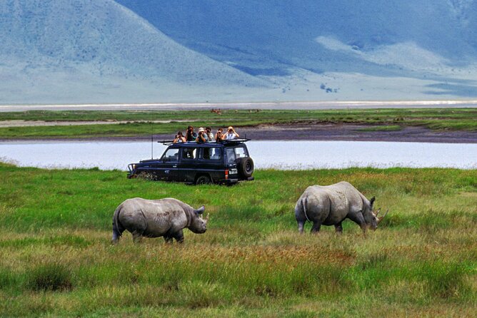 1 Day Private Ngorongoro Crater Safari