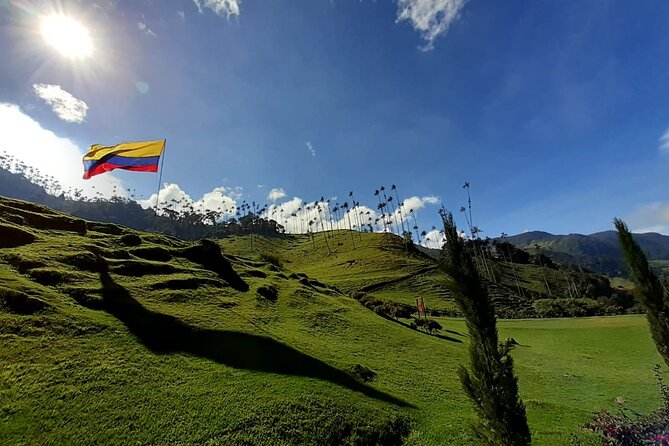 1 Day Private Tour in Cocora Valley Hike