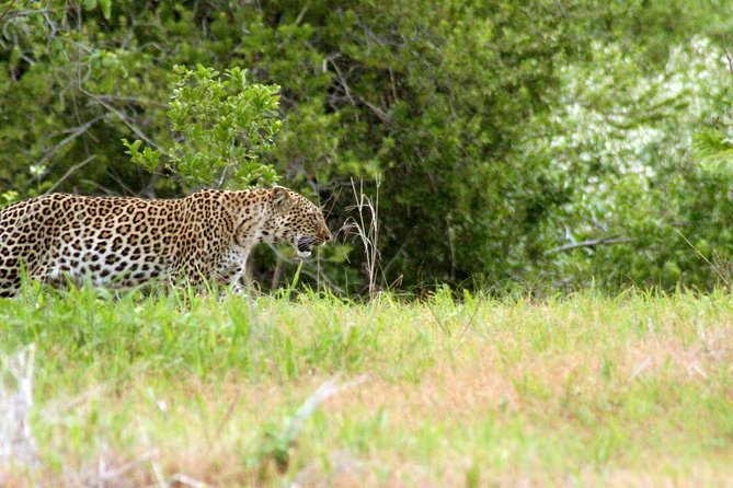 5 Best National Park Tours In Iringa Region