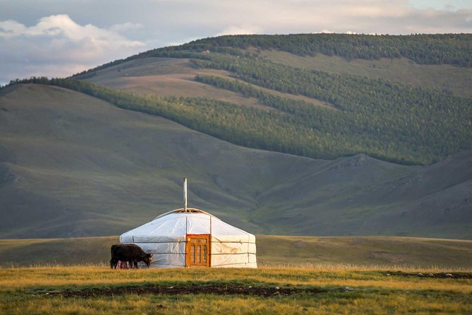 1 Day Tour: Khustai National Park - Wildlife and Scenic Highlights