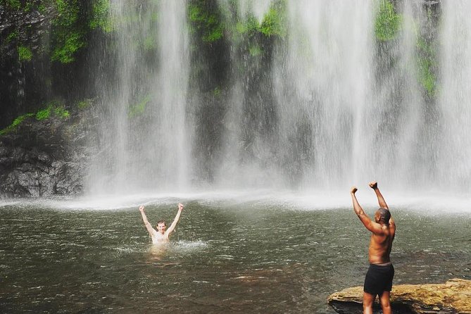 1 Day Tour to Materuni Waterfalls and Coffee Tour