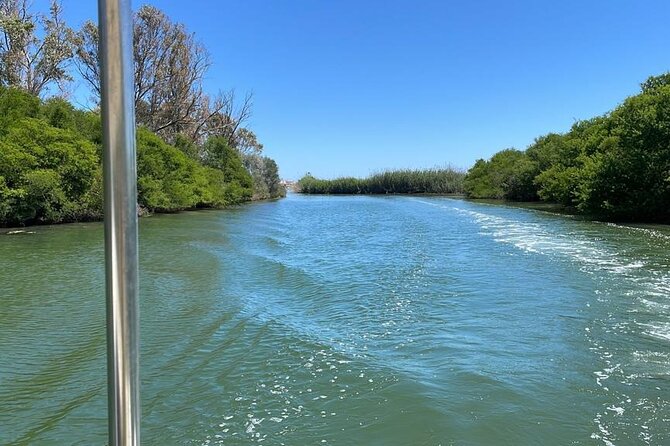 1 Hour Boat Tour in the Ciane Nature Reserve in Syracuse