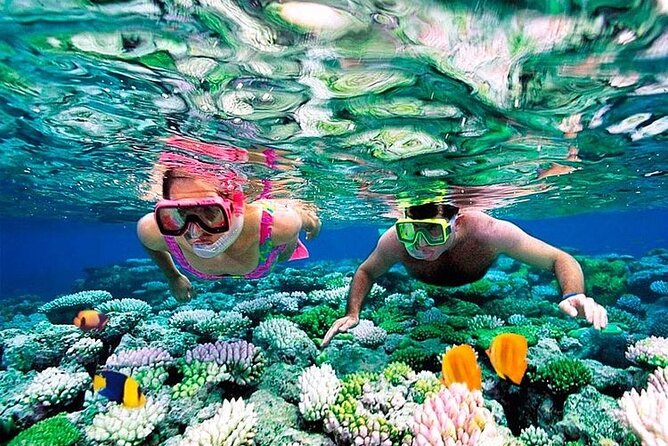 1 Hour Private Snorkeling Activity In Montego Bay - Inclusions and Exclusions