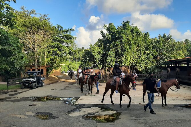 1 or 2 Hour Puerto Rico Horseback Ride Experience!