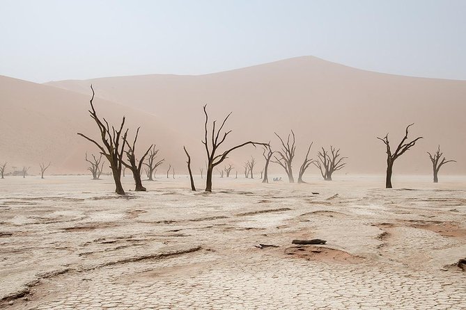 10 DAYS BEAUTY OF NAMIBIA | Private Guided Tour