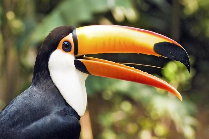 10 Days Essential Costa Rica – Package With Guanacaste From San Jose