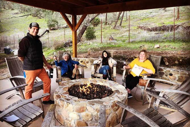 10 Passenger Luxury Sprinter Van Tour of Napa Sonoma Wine Country