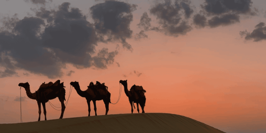 12 Days Tour From Marrakech