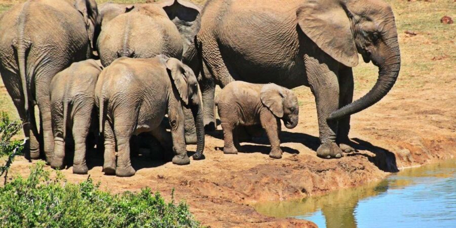21 Best Tours In Knysna