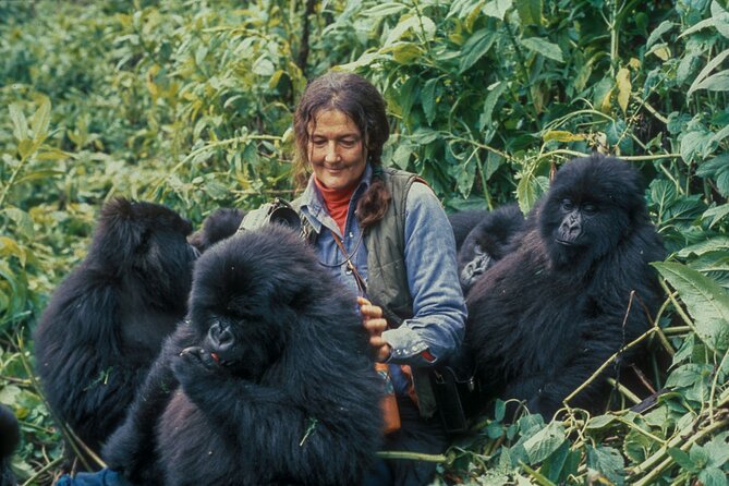 13 Days Wildlife Adventure Trip To The Pearl Of Africa