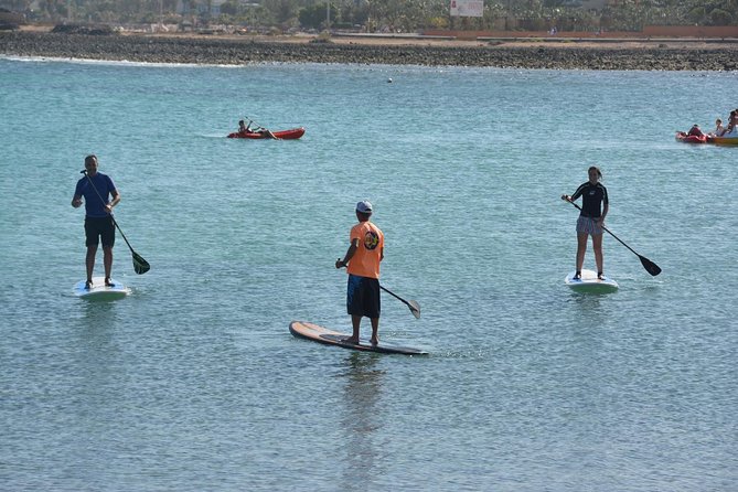 1,5-Hour Beginners Stand up Paddle Course in Caleta De Fuste - Course Overview