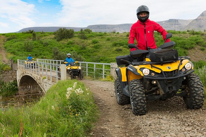 1hr ATV Adventure & Whale Watching Combination Tour From Reykjavik
