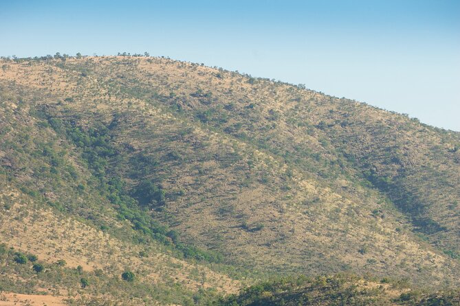 2 Day Pilanesberg Camping Safari - Itinerary Highlights