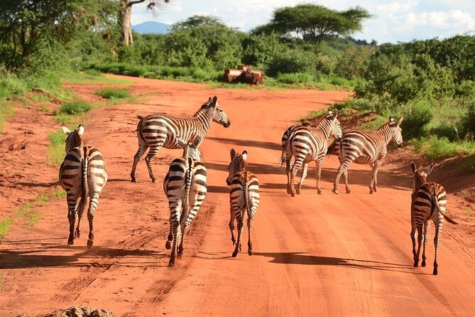 2-Day Private Tour in Tsavo East