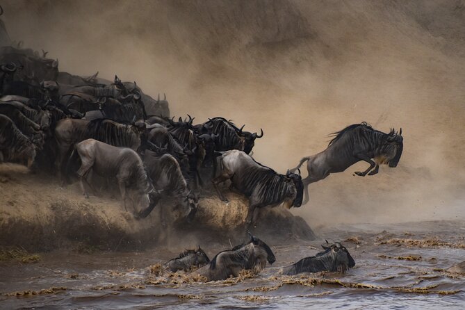 2-Day Sublime Safari to Tarangire and Ngorongoro Safari