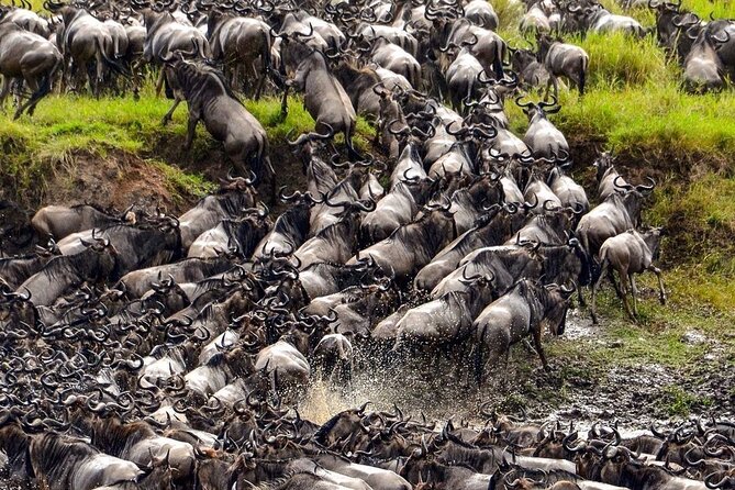 2 Days 1 Night Mikumi National Park: a Perfect Private Safari