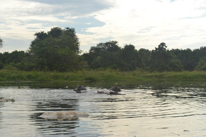 2 Days Family Safari to Murchison Falls Park Uganda